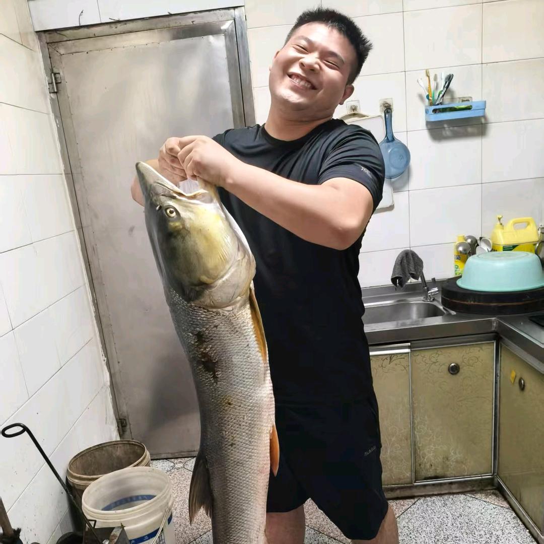 涛哥甲鱼
