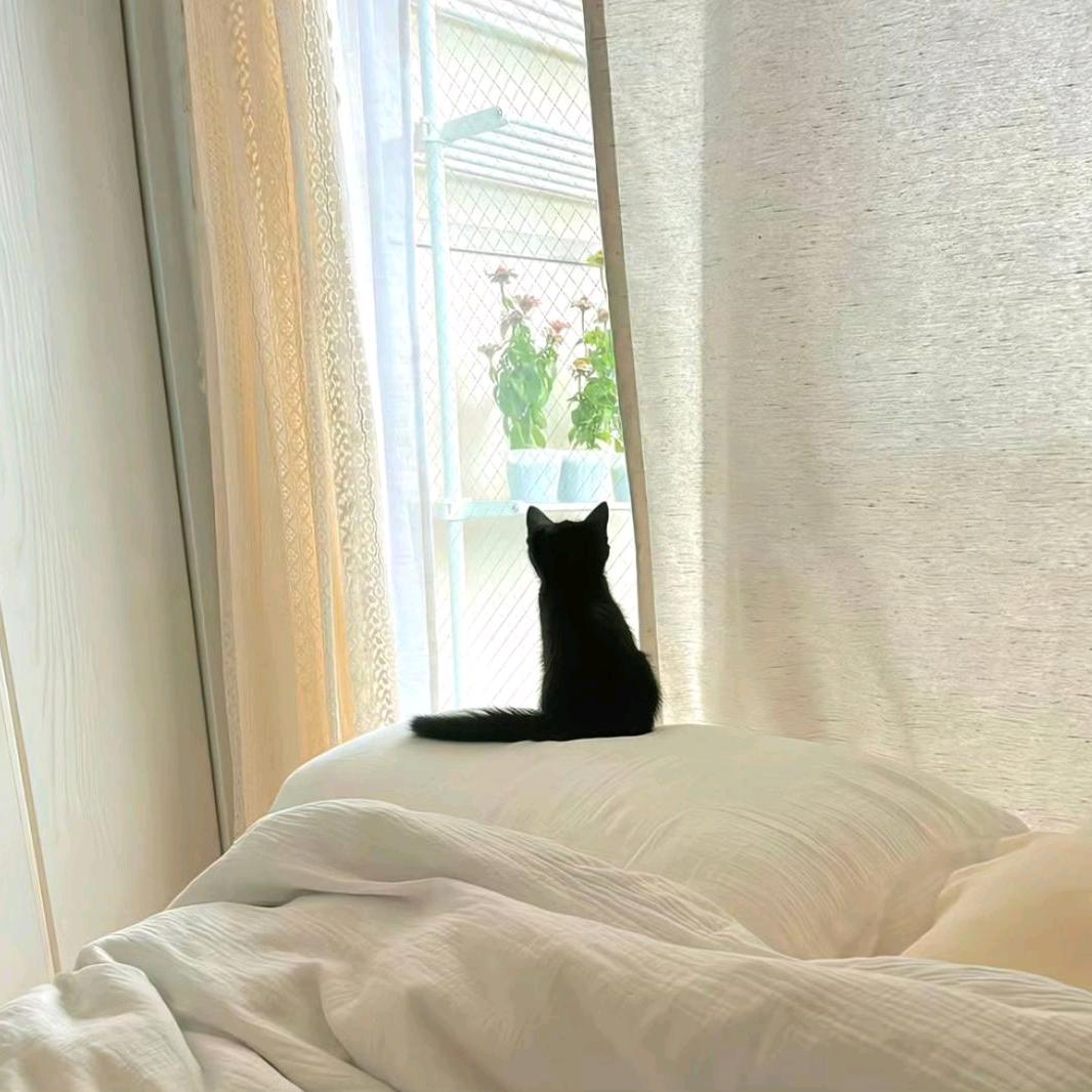 有柒有喝糖水小铺