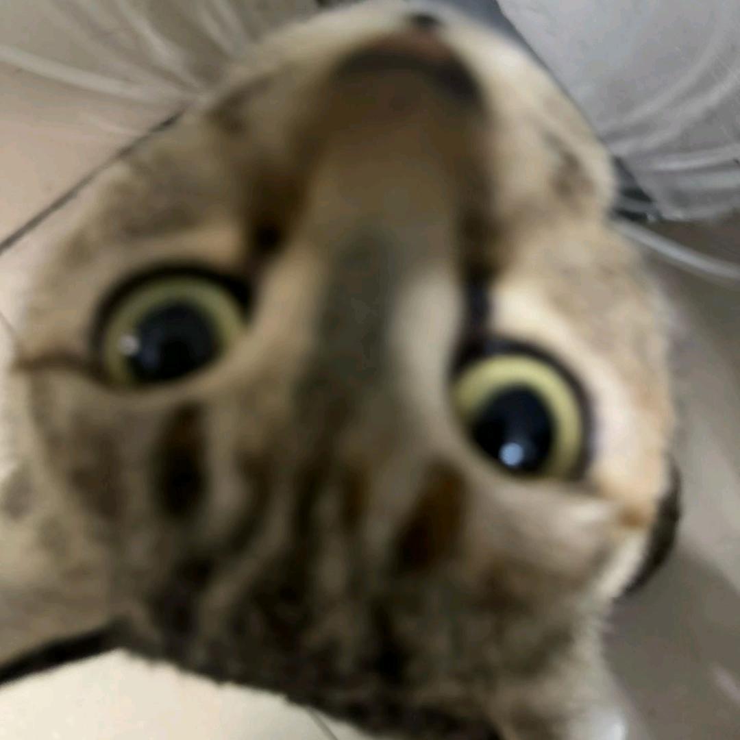 不想上课想睡觉