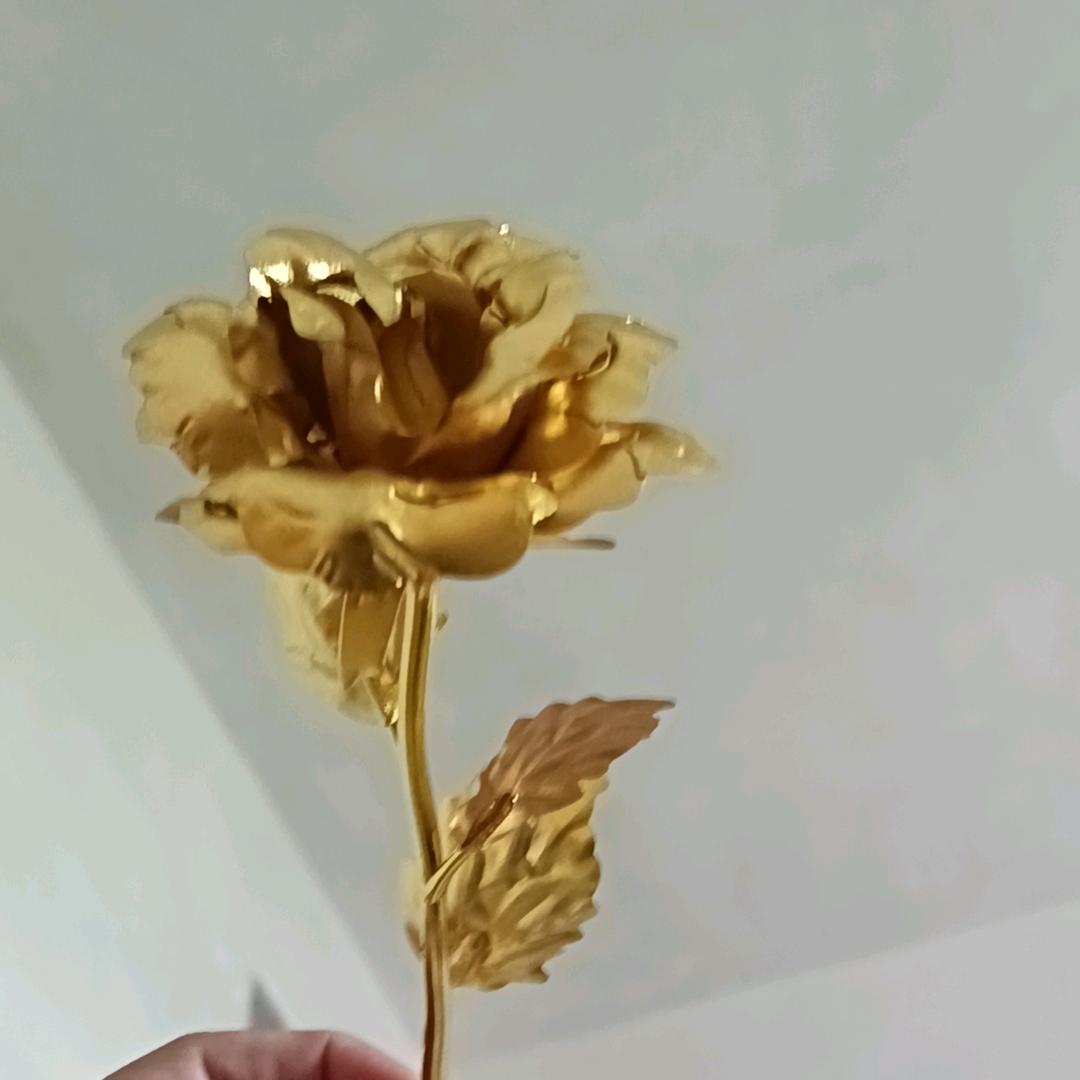 --星燃@