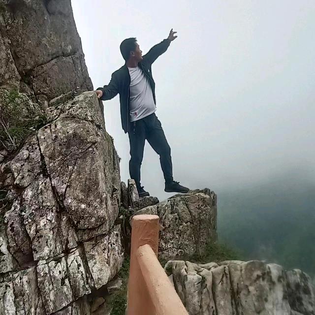 ✨桃花🌺笑春风✨