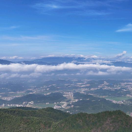 王牌巡查