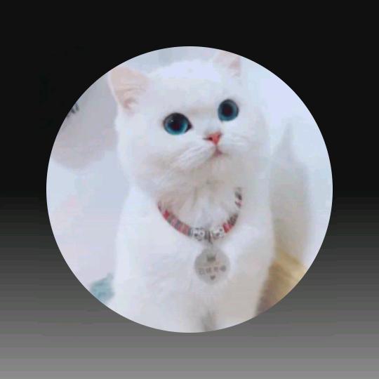 💫一切安好💫