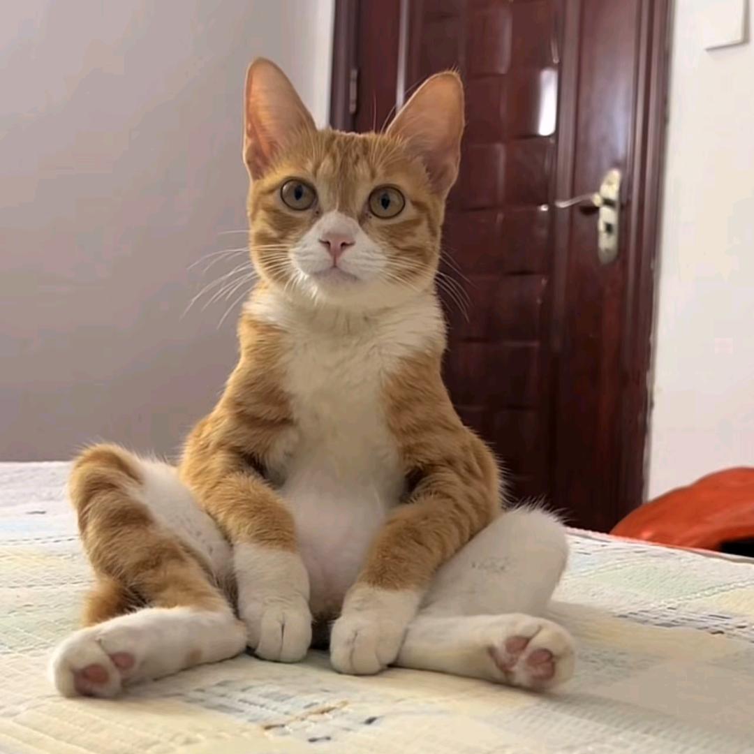 龙运