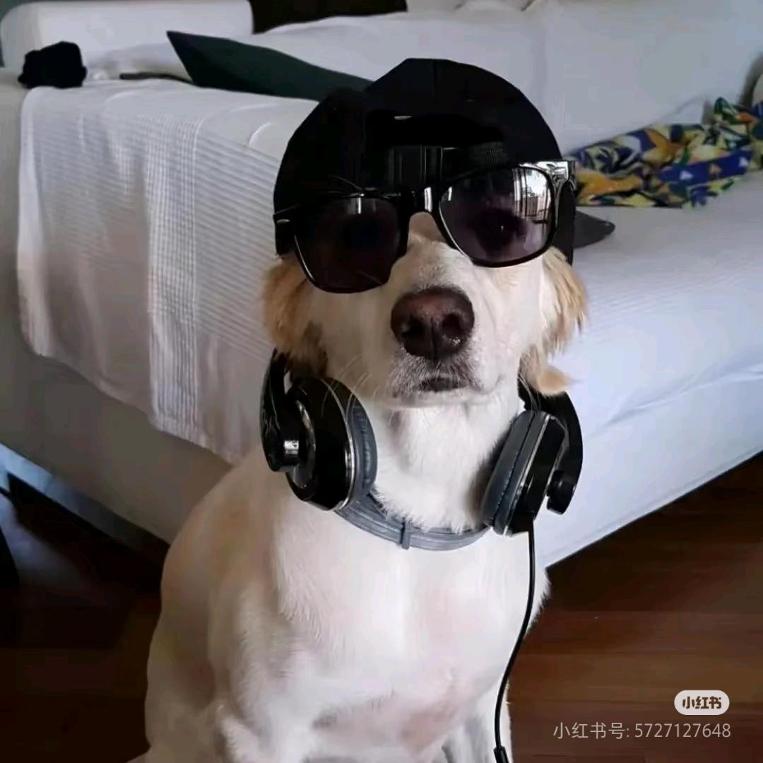 流浪土豆儿🏃🏻‍♂️