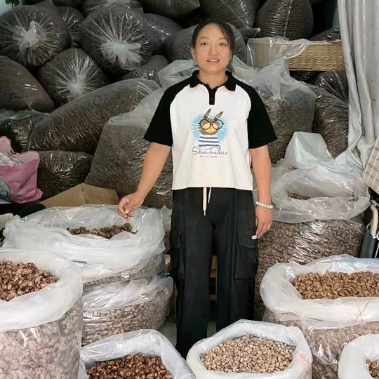 周萍萍收壳壳