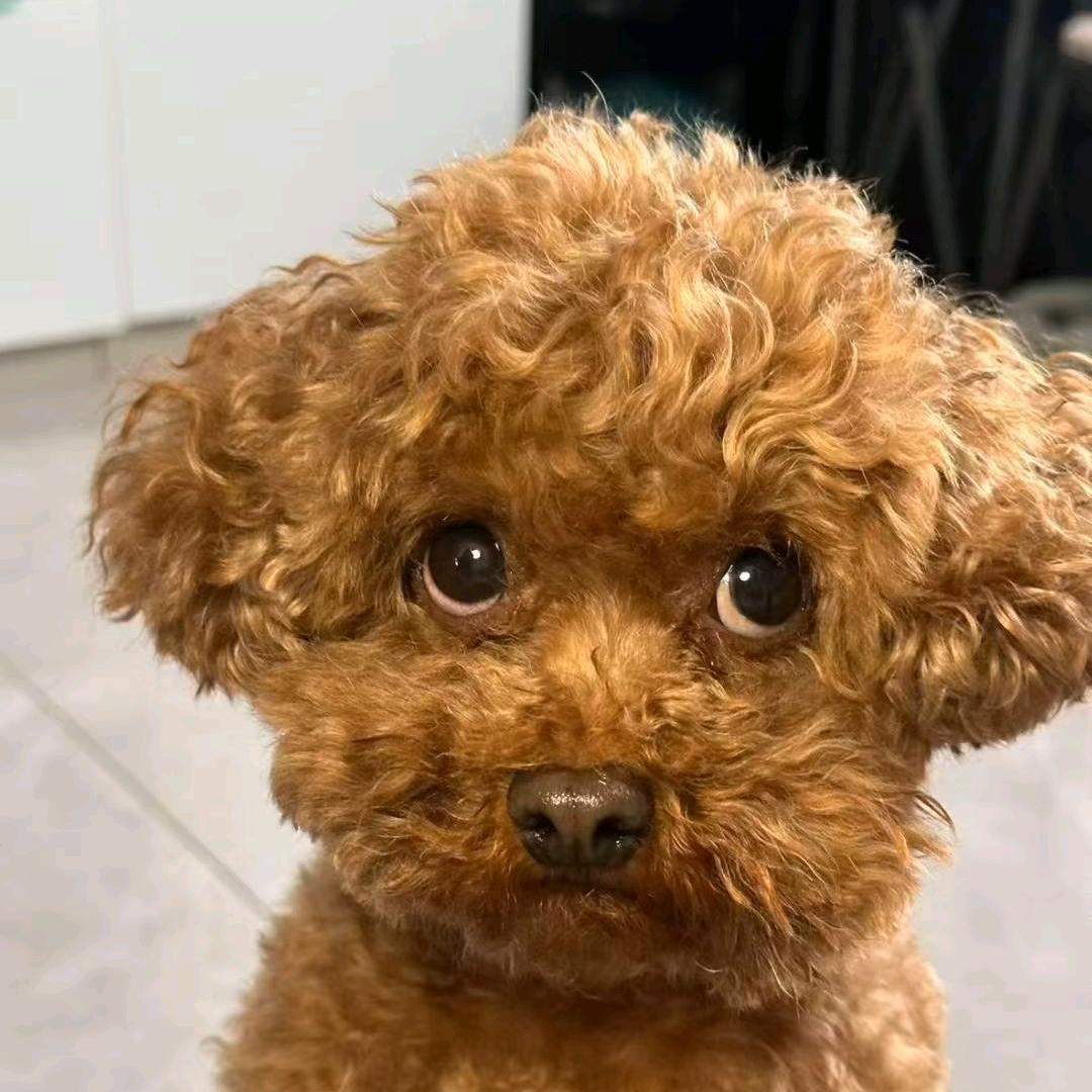 还ins我不