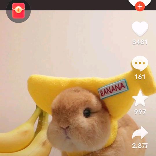 可爱小琪