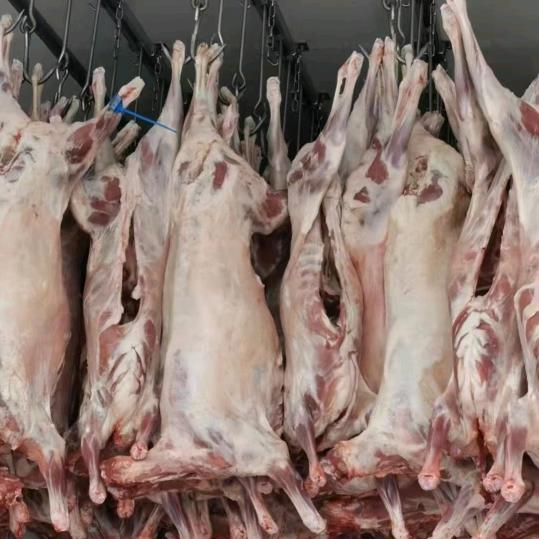 新疆牛羊肉批发零售