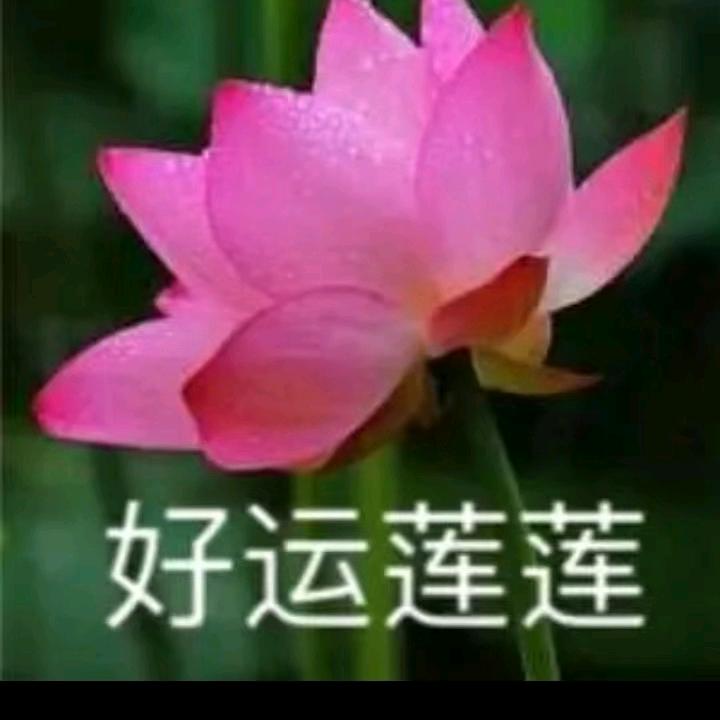 大星河