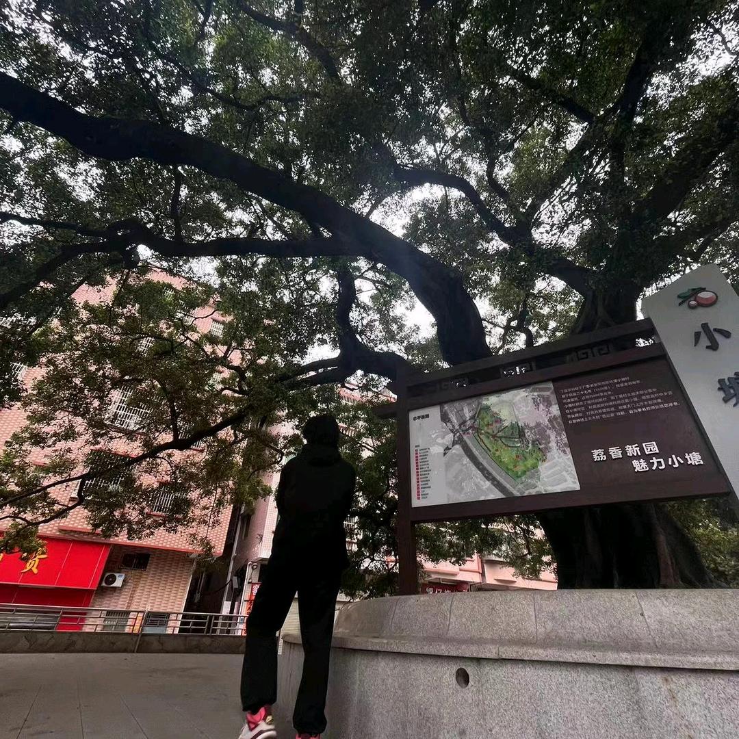 小宇学长点对点（校园版）