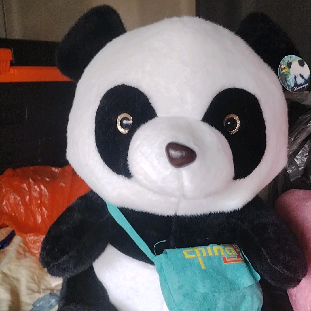 风声水起靠自己