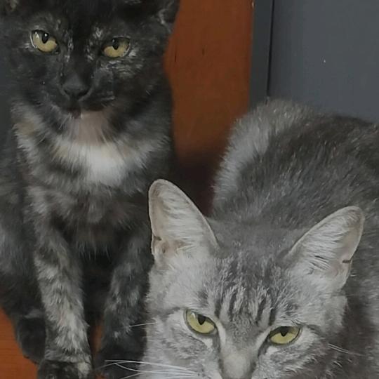 想你的季节＆<常庄商城～嘉辉室内装修