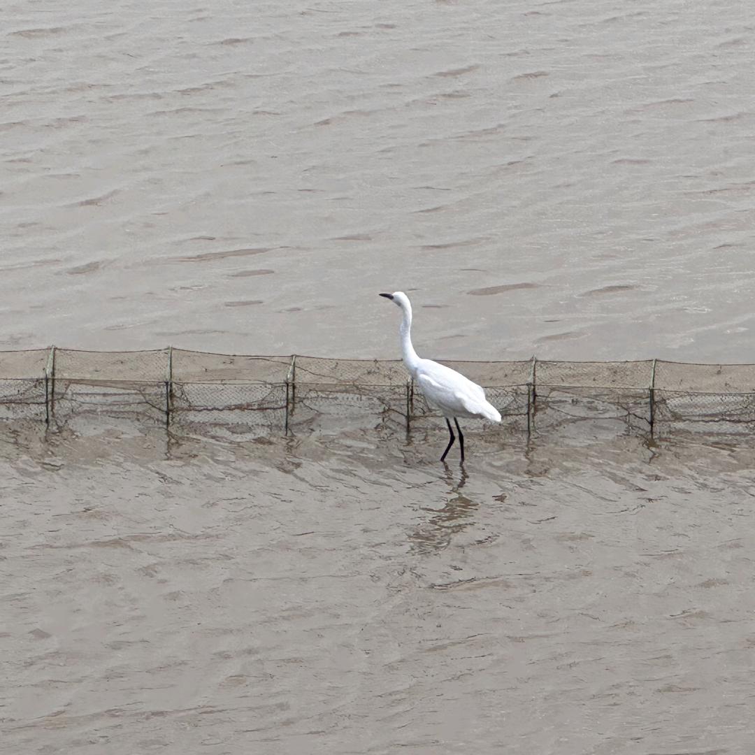 桃子姐姐🍑🍑