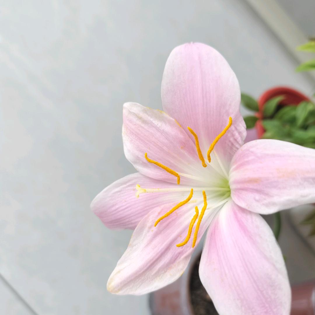 雨蒙蒙