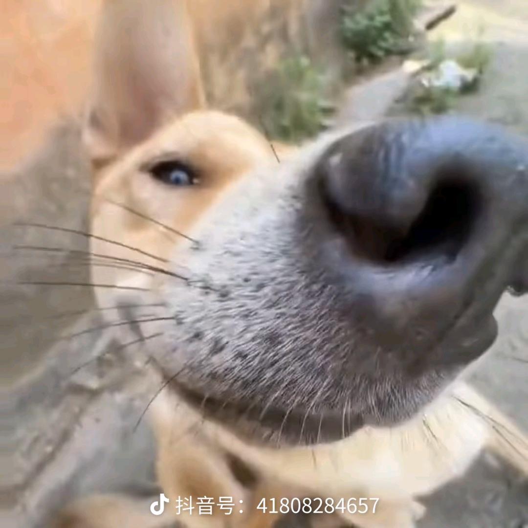 棒棒更棒了