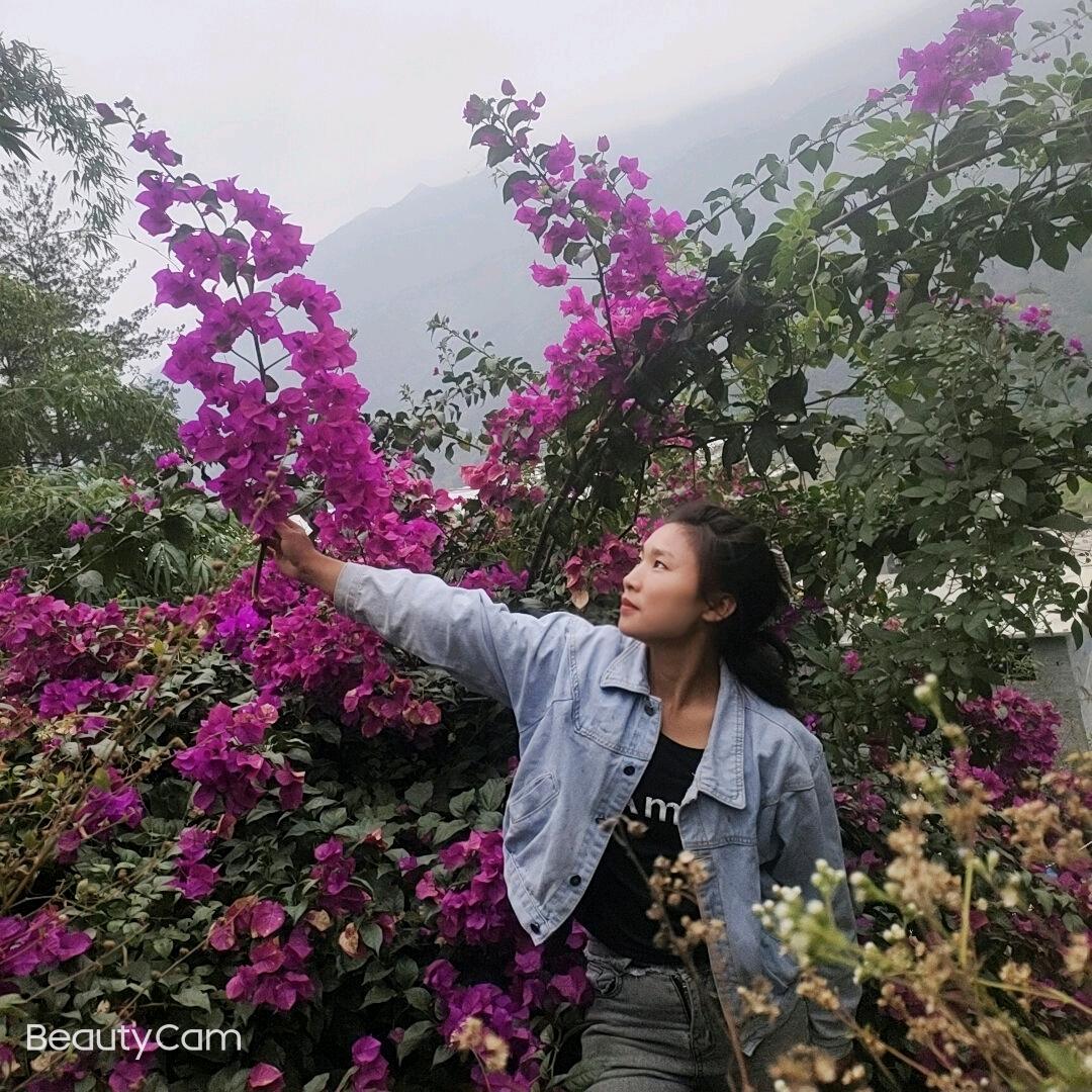 龙吟辣鸡砂锅粉面