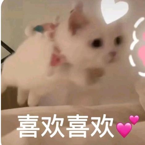 地下城堡4_电驴