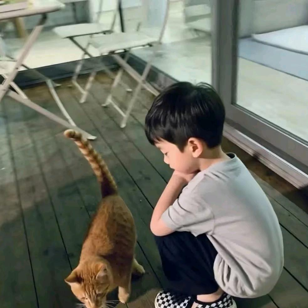 猪猪侠爱韾馨和华华