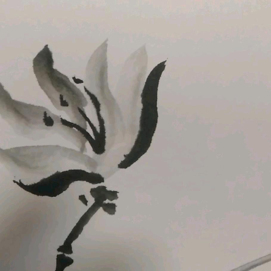 飞飞