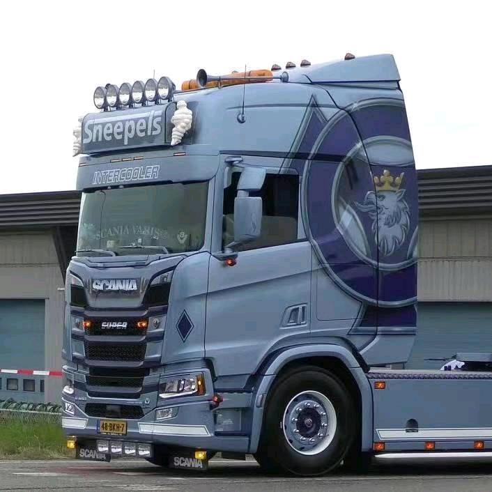 皖A，路途之牛🐮