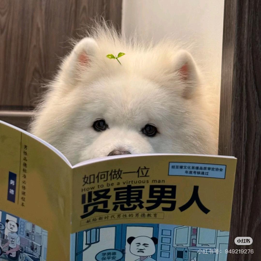 问❤️