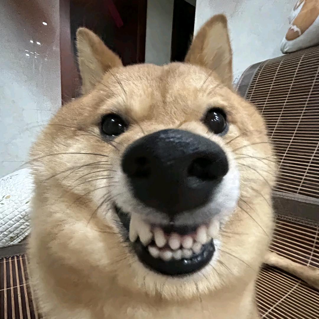 李九儿
