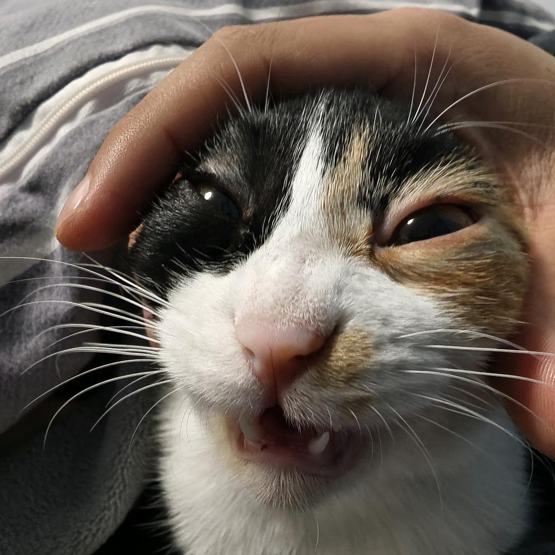季荣浩