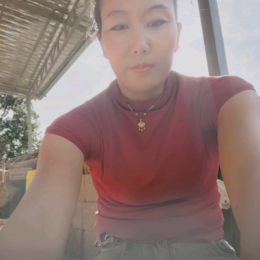 寻找自由
