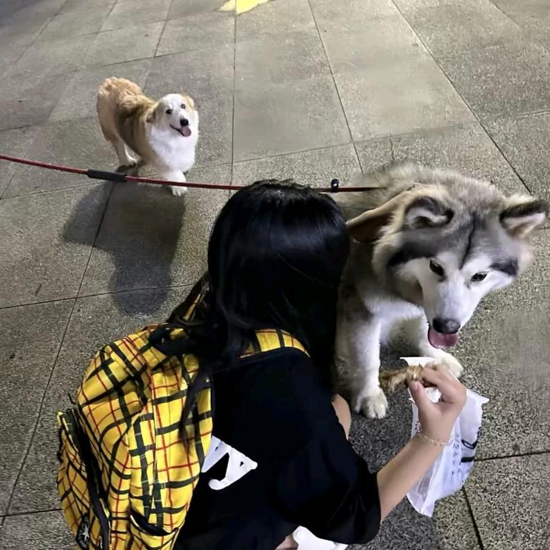 泡 芙^