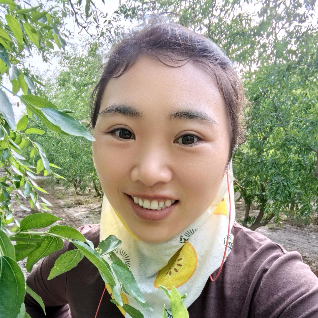园春在新疆（带娃宝妈方言版）