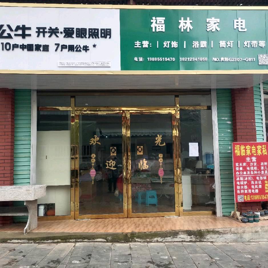 福林家电 家居