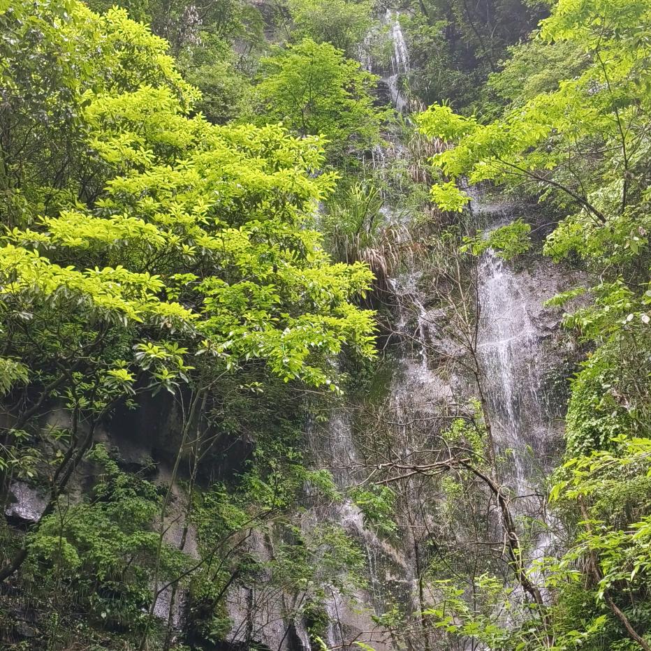 信守不渝