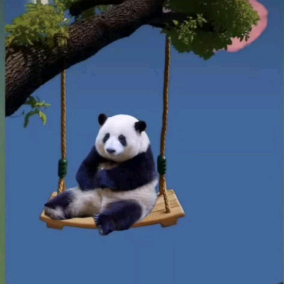 金丝猴
