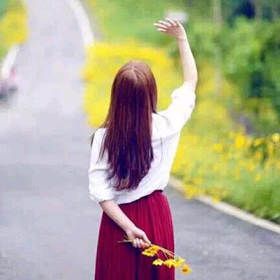 格桑花开