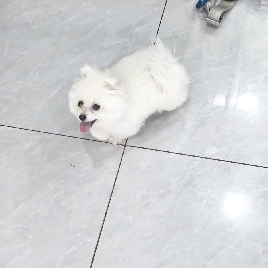 声韵