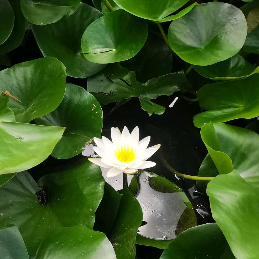 ～悟～