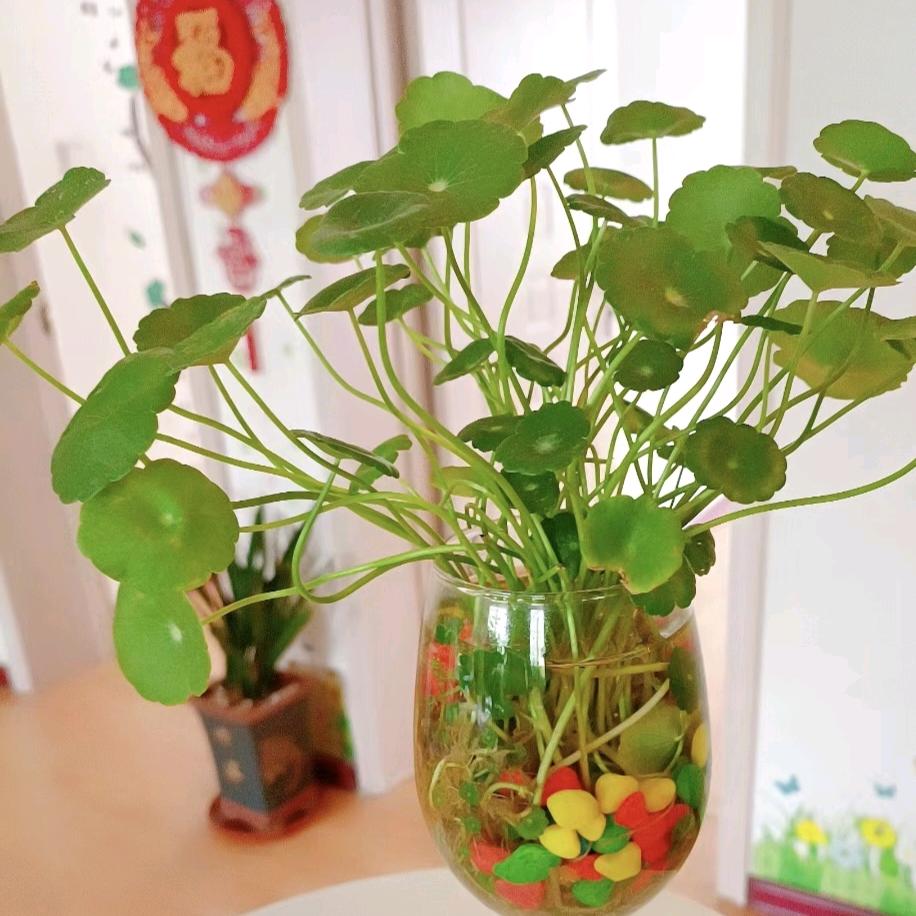 大手拉小手gs
