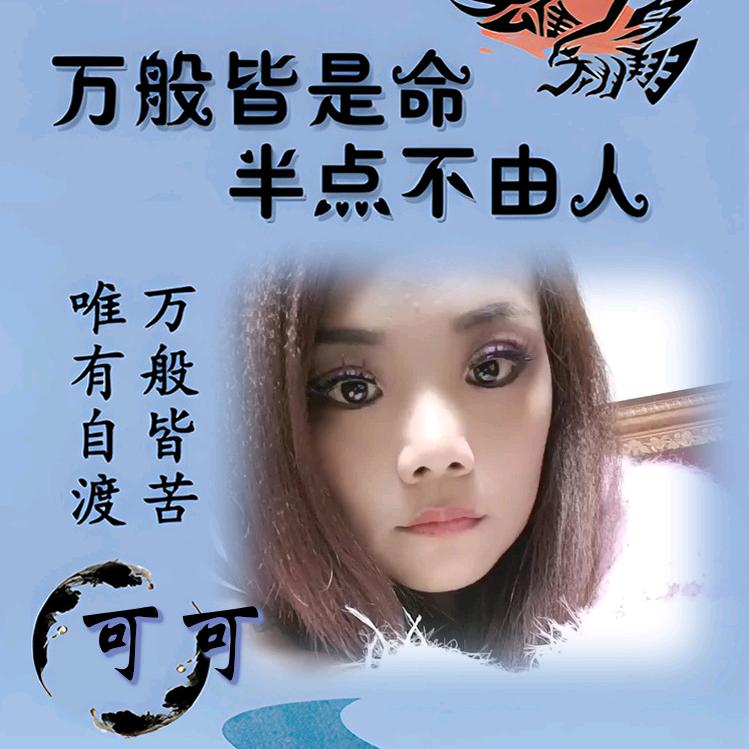可可