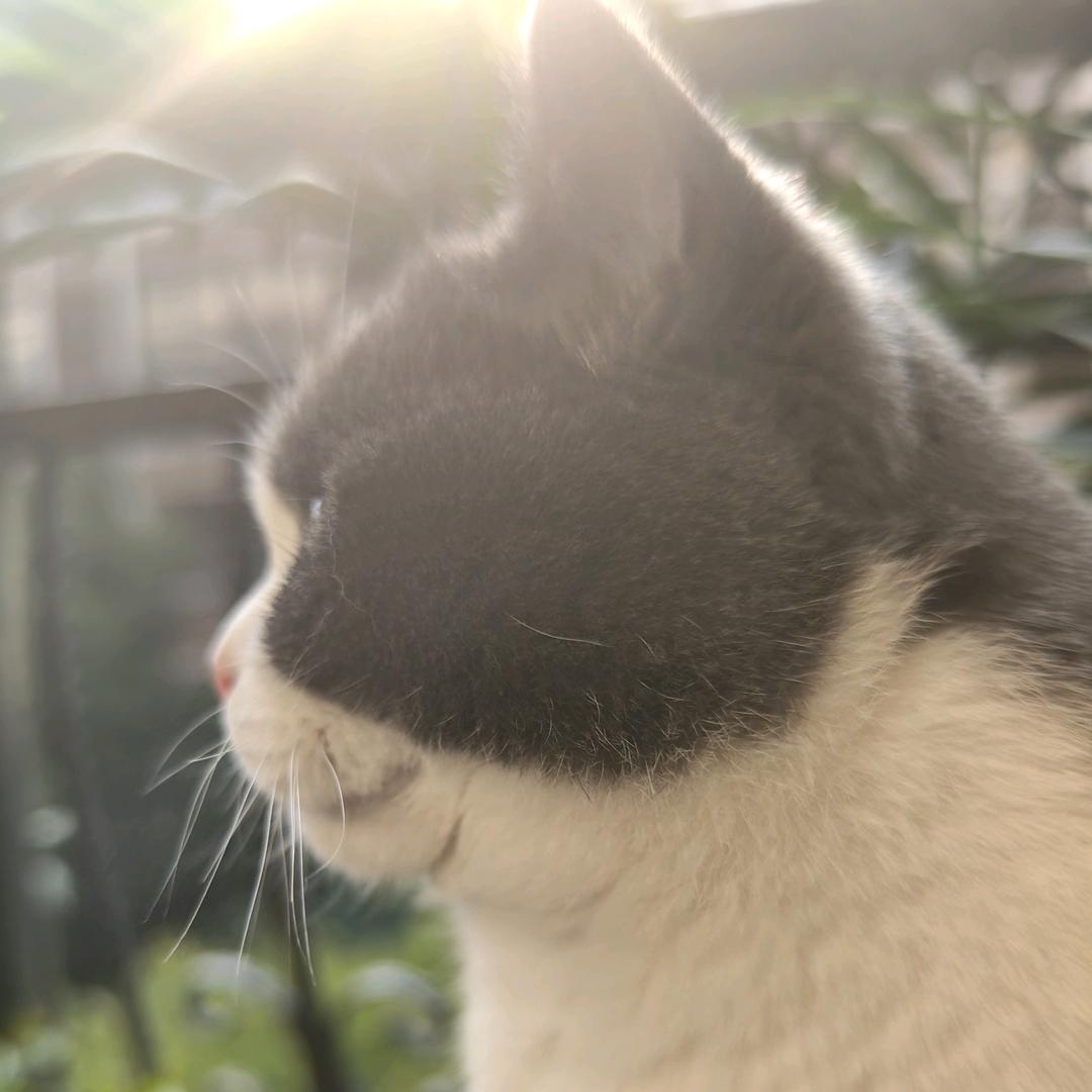 中年猛男