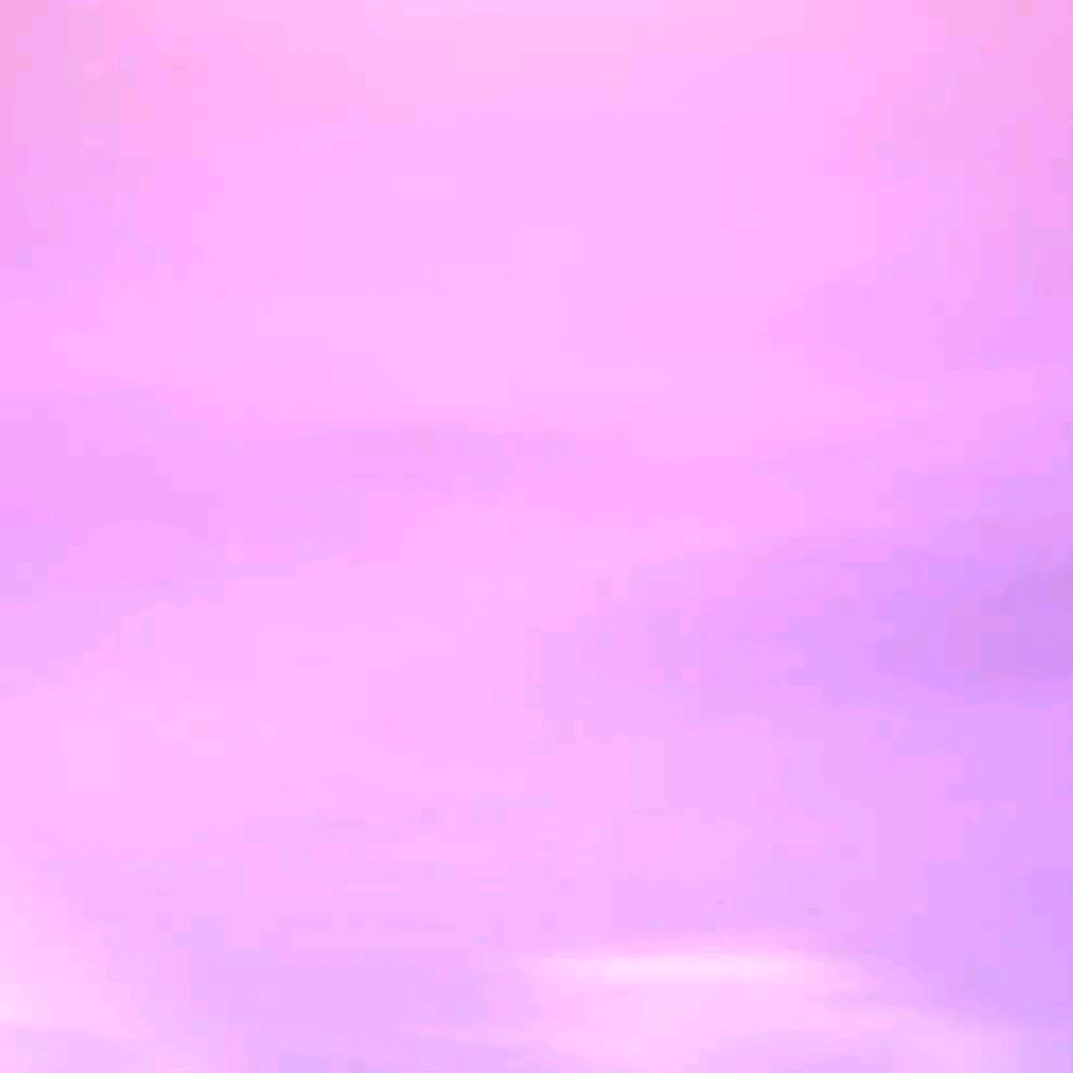 宿槐