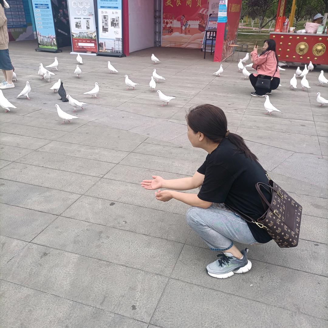 子燕
