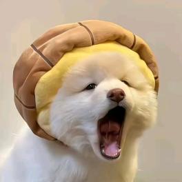 浪漫的土豆泥