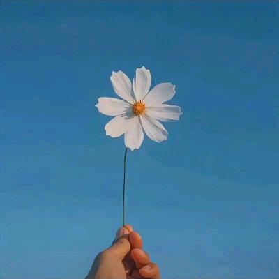 一拳一个嘤嘤怪