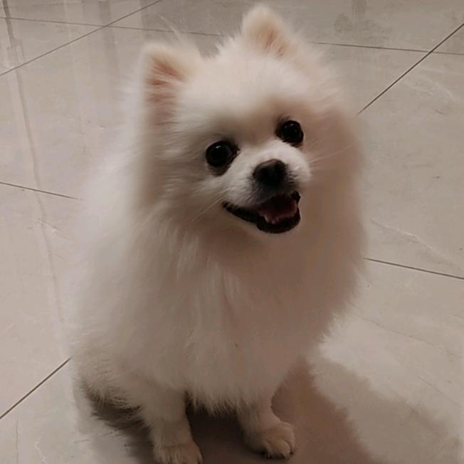 长沙水煮武昌鱼