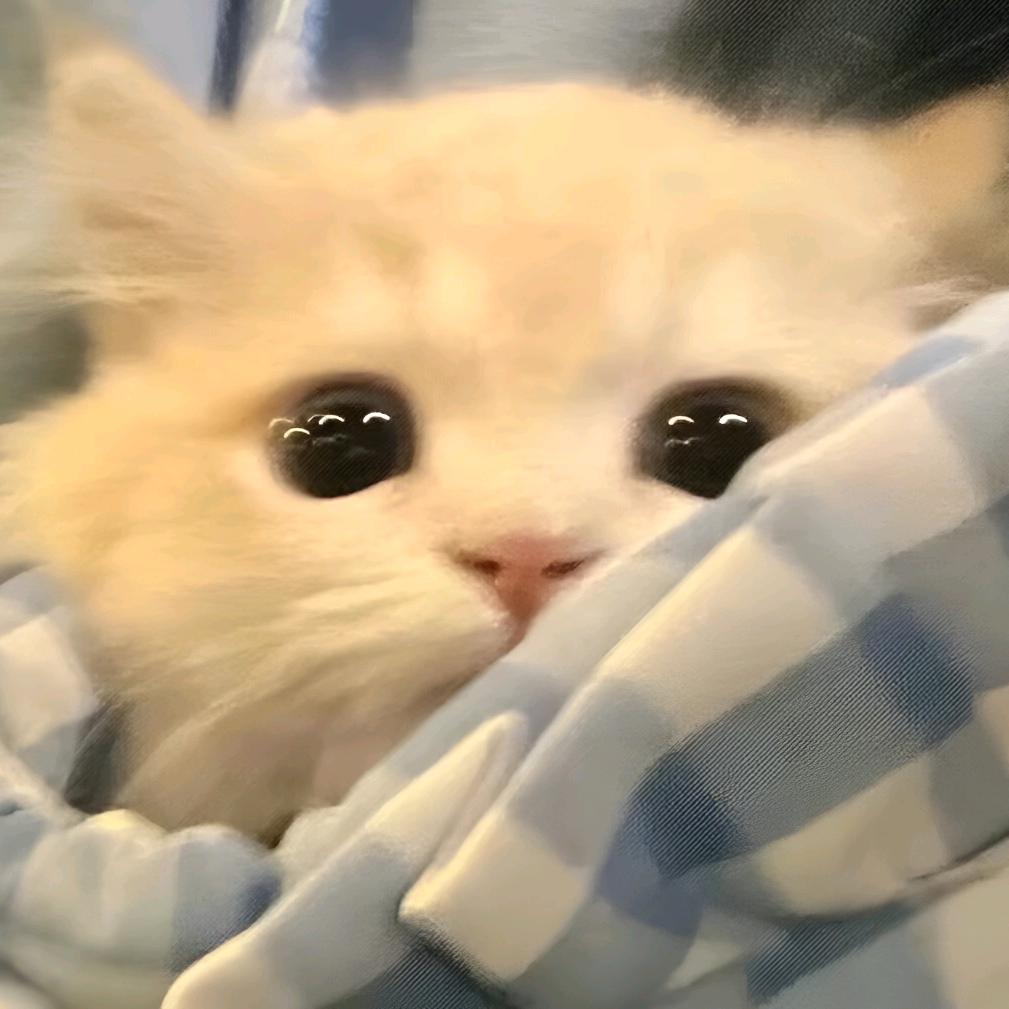 张神奇