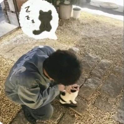 未知渝
