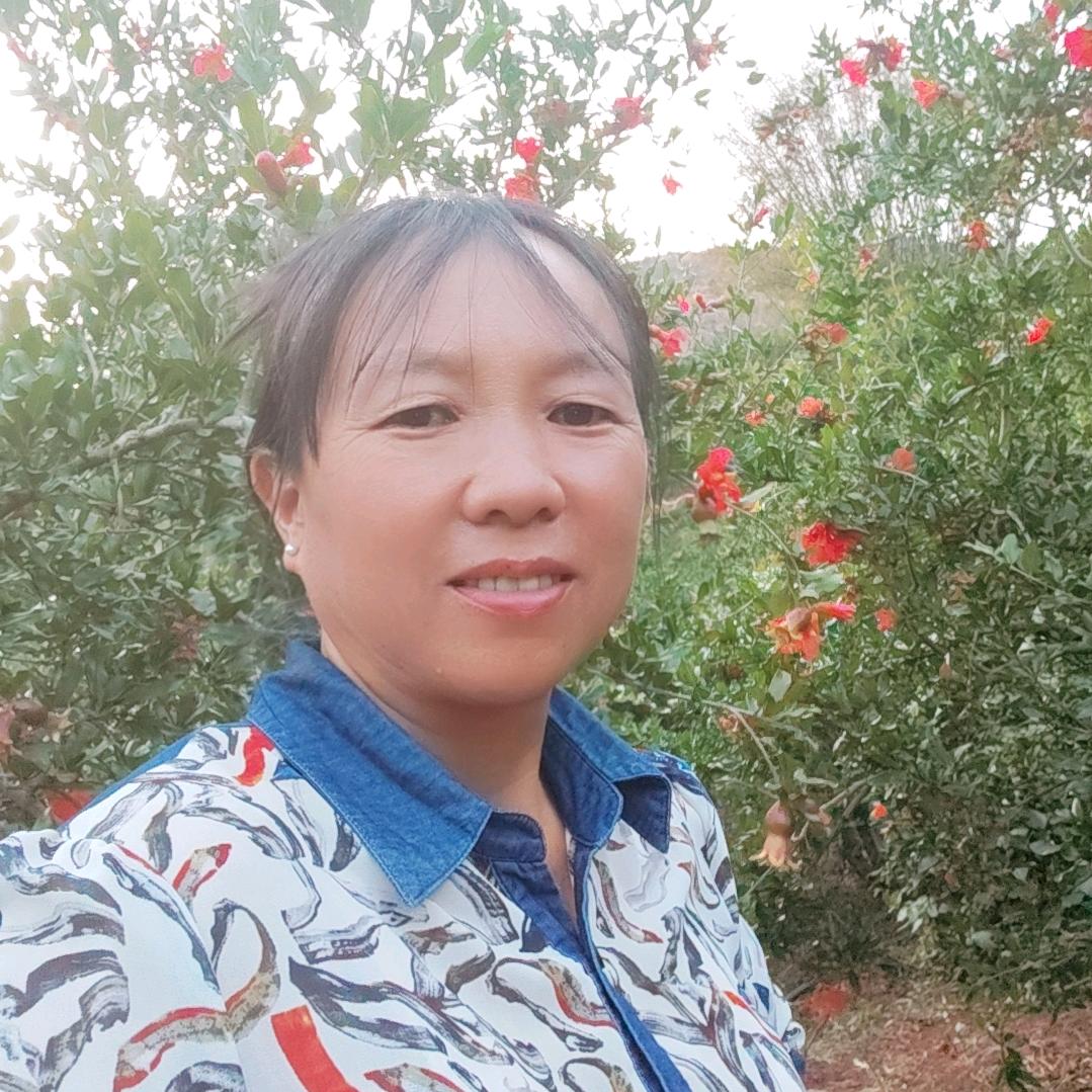 攀枝花石榴姐