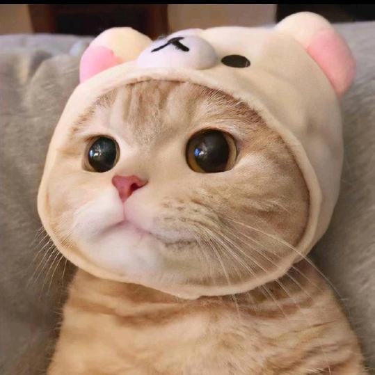 旺仔