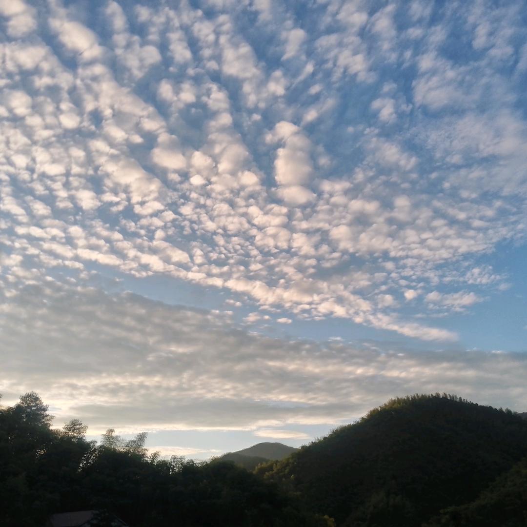 黄小鋼